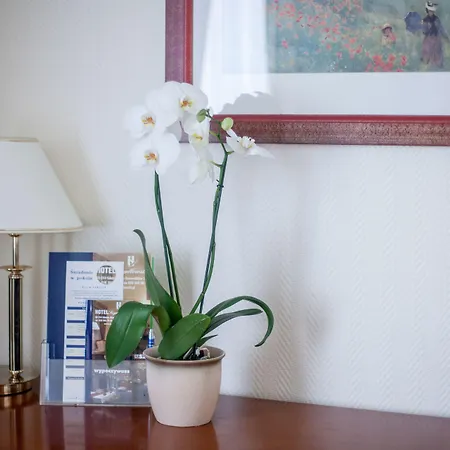 Szydlowski 3* Gdansk