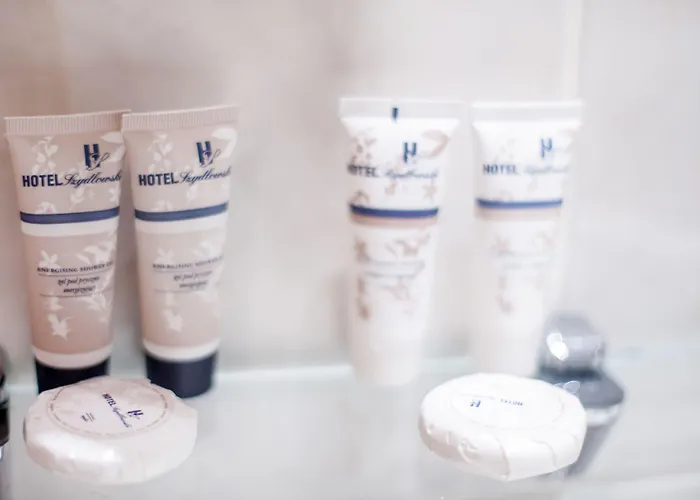 酒店 塞德洛斯基酒店 3*